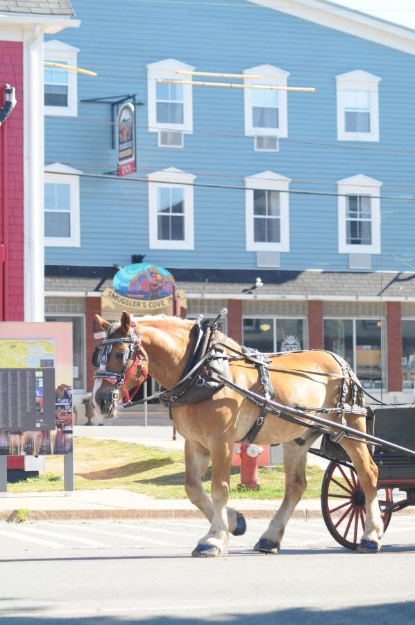 Smugglers Cove Inn Lunenburg Dış mekan fotoğraf