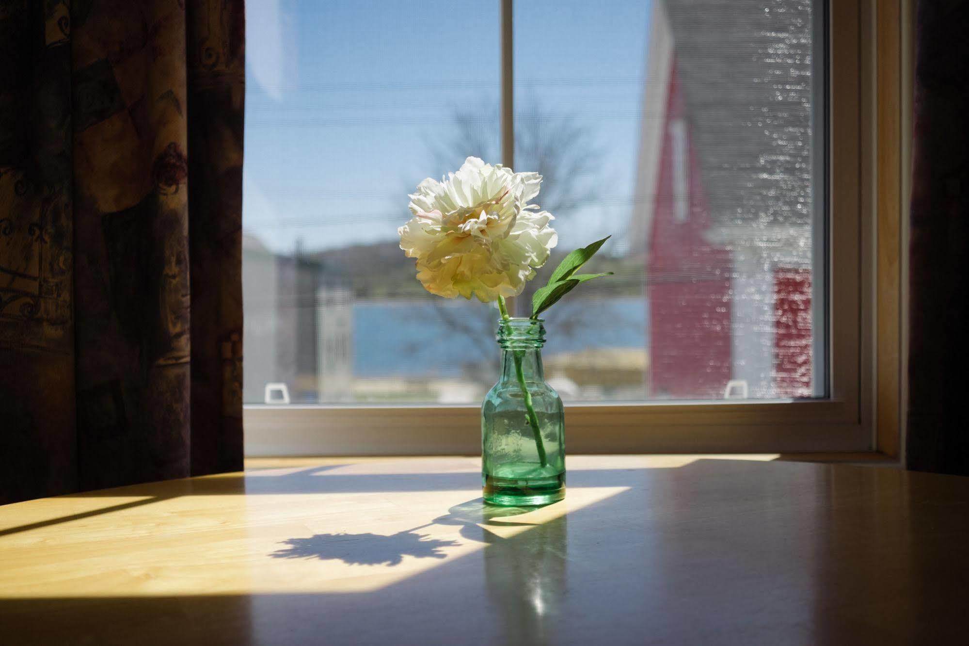 Smugglers Cove Inn Lunenburg Dış mekan fotoğraf